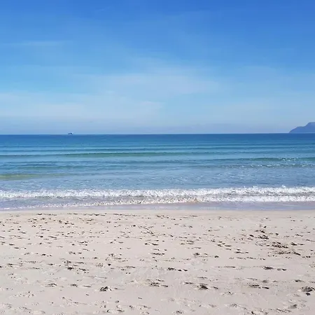Ideal Mallorca - Adelfa